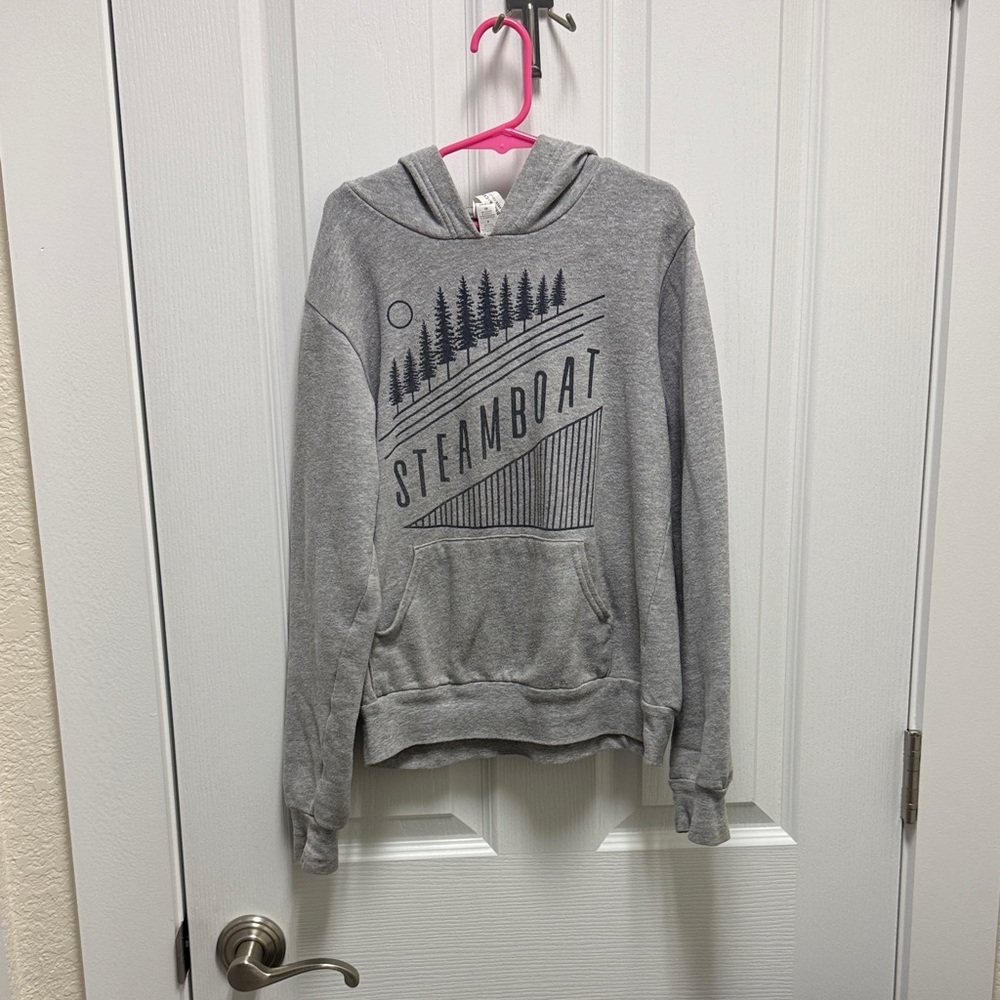 Adidas Gray Graphic Hoodie